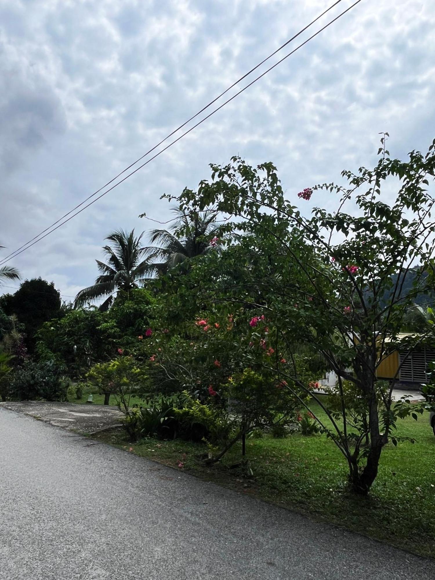Purple Cube At Lumut Cube Homestay Kontena Exterior photo